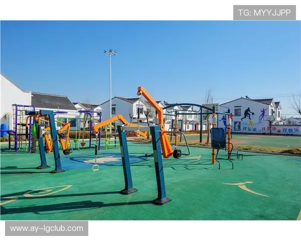 浏阳足球村打造全民运动新高地推动乡村振兴与体育融合发展