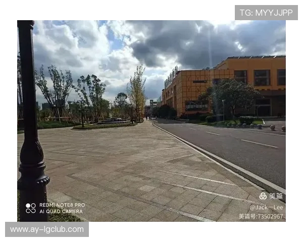 桃园市足球场周边环境分析及交通便利性研究 桃园市足球场周边环境分析及交通便利性研究